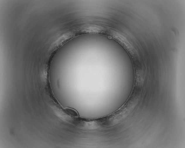 X0000110920309200906181414