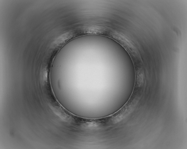 X0000110920310200906181414