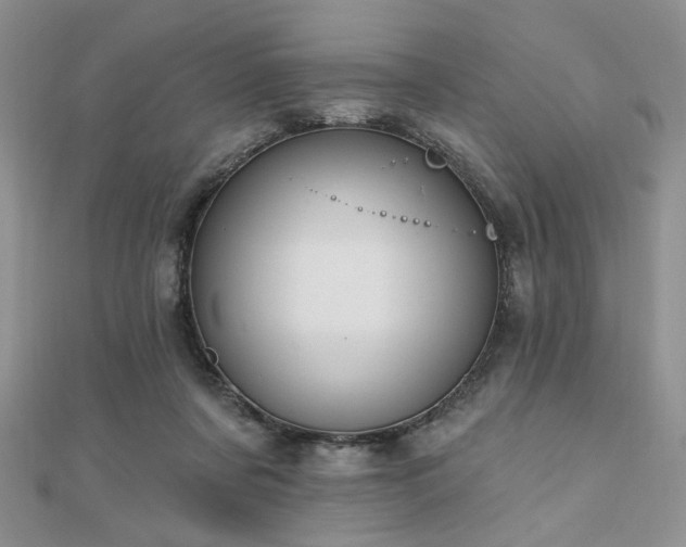 X0000110920311200906181414