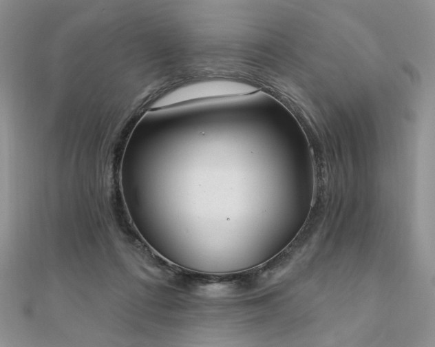 X0000110920312200906181414
