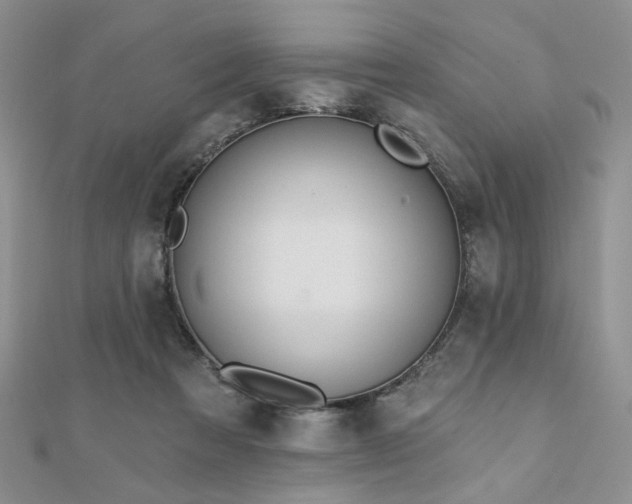 X0000110920313200906181414