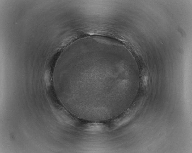 X0000110920316200906181414