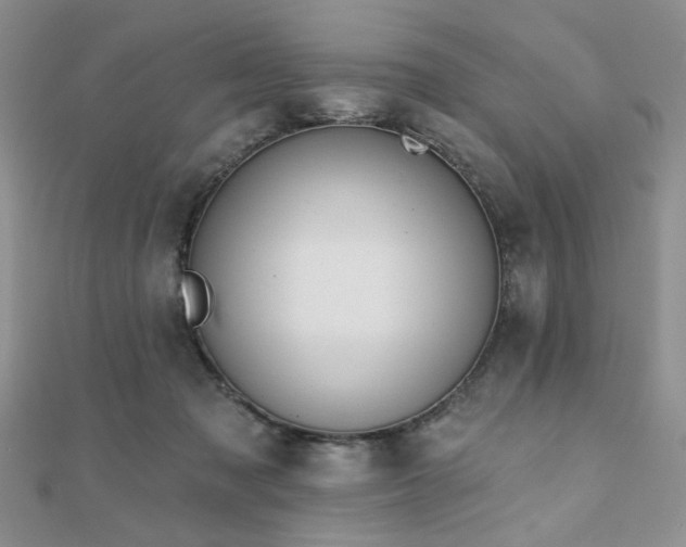 X0000110920317200906181414