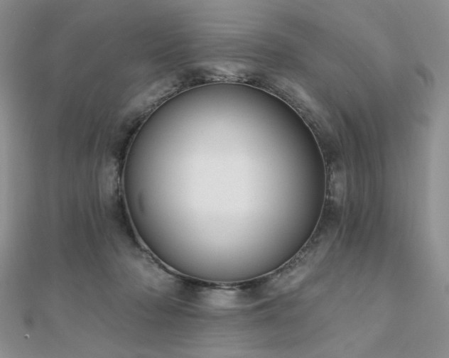 X0000110920318200906181414