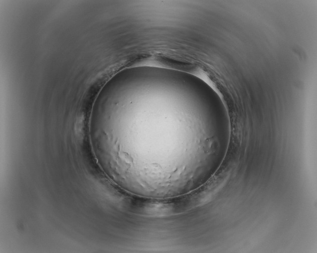 X0000110920319200906181414