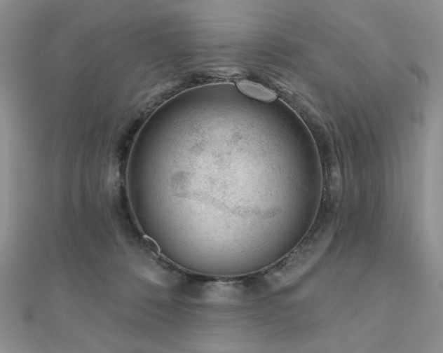 X0000110920320200906181414