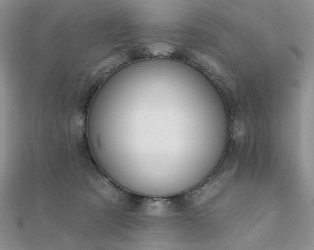 X0000110920321200906181414