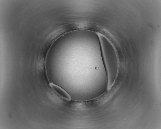 X0000110920325200906181414