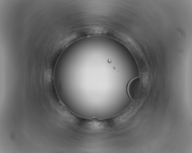 X0000110920326200906181414