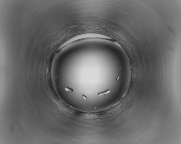 X0000110920327200906181414