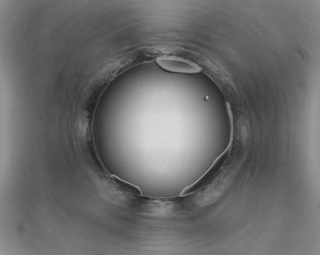 X0000110920328200906181414