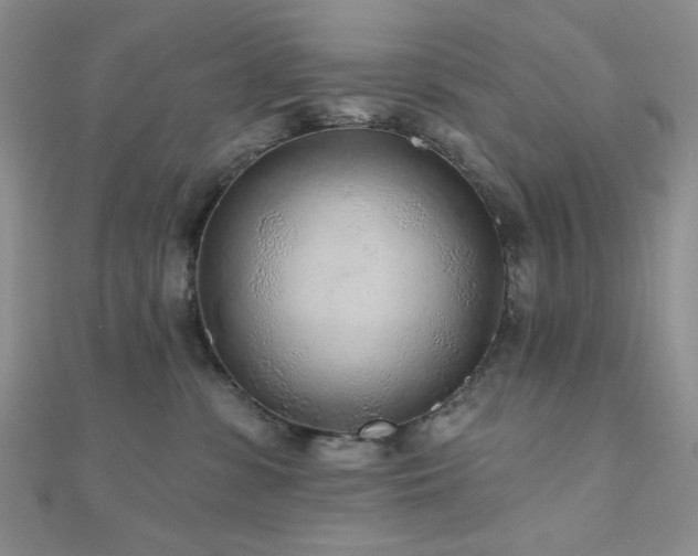 X0000110920331200906181414