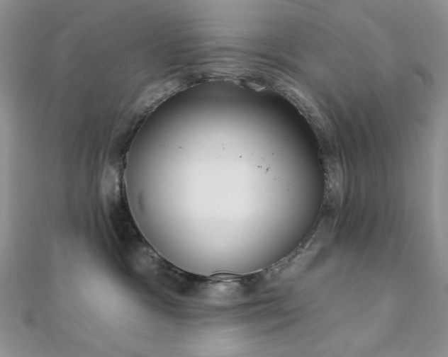 X0000110920333200906181414