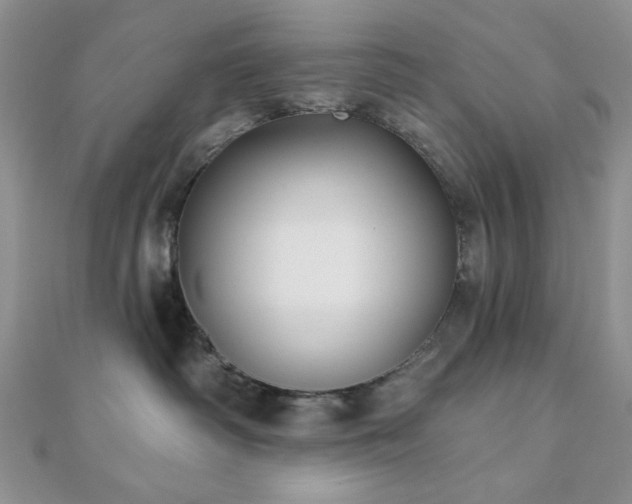 X0000110920334200906181414