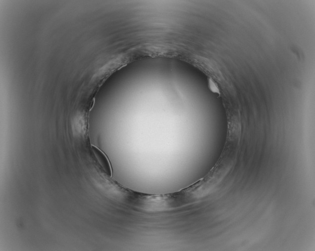 X0000110920335200906181414