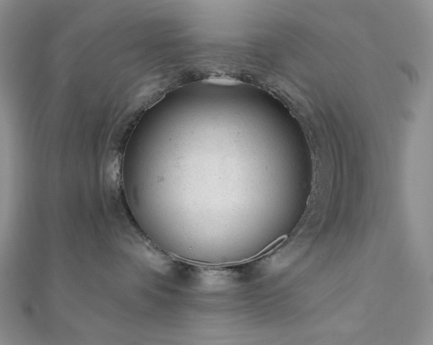 X0000110920336200906181414