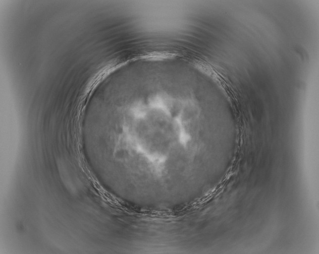X0000110920337200906181413