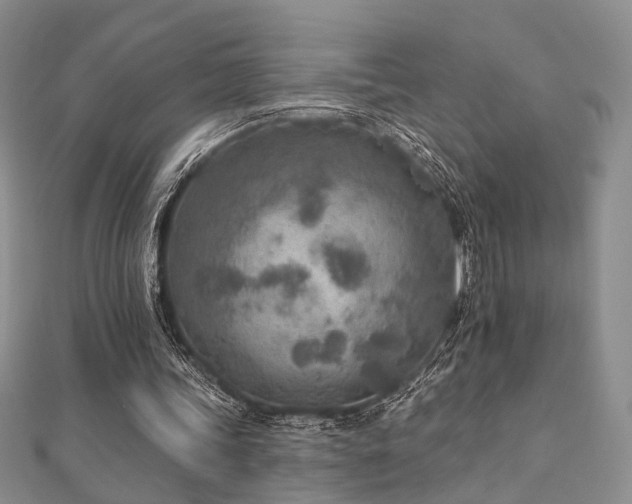 X0000110920339200906181413