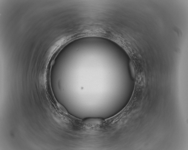 X0000110920340200906181413
