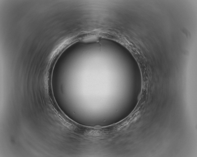 X0000110920341200906181413