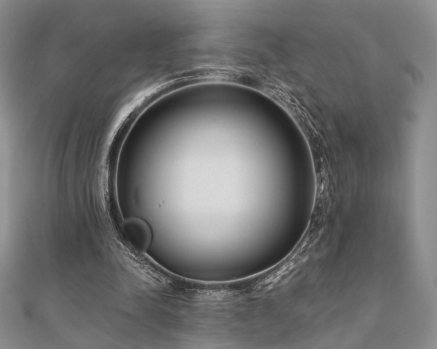 X0000110920342200906181413