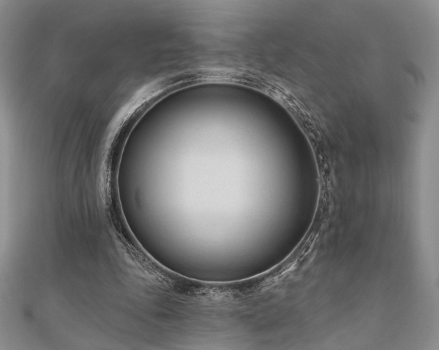 X0000110920343200906181413