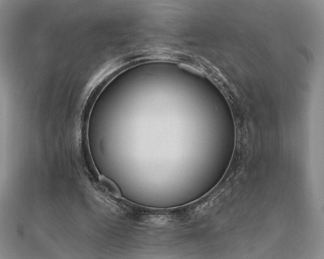 X0000110920344200906181413