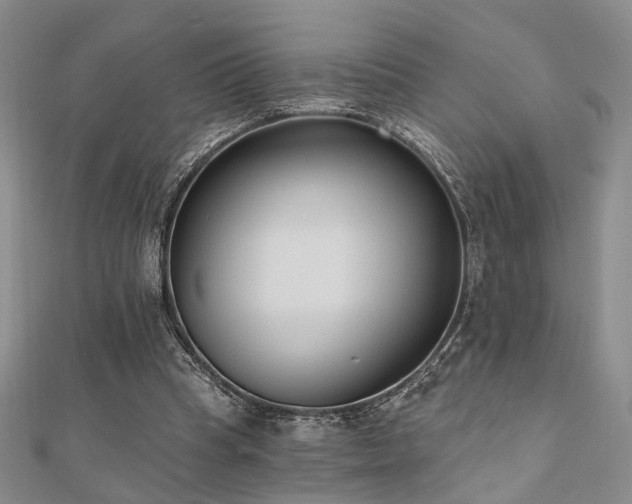 X0000110920345200906181413