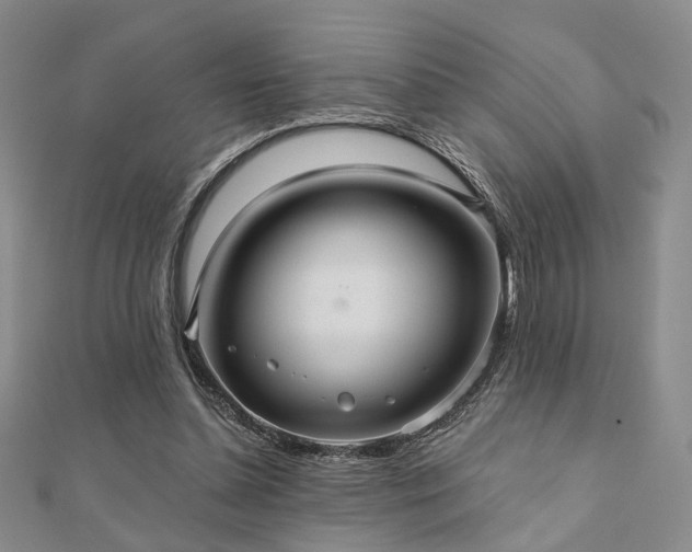 X0000110920348200906181413