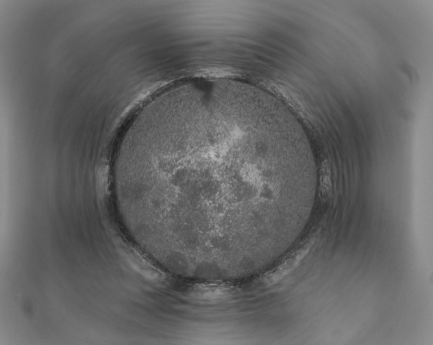 X0000110920351200906181413