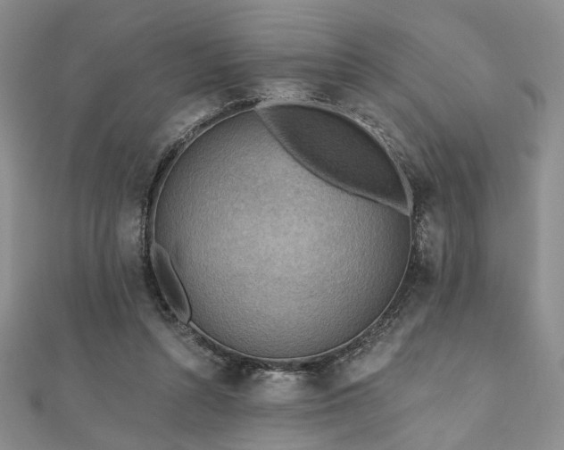 X0000110920352200906181413