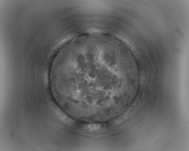 X0000110920353200906181413