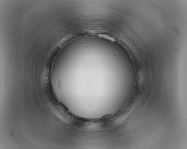 X0000110920356200906181413