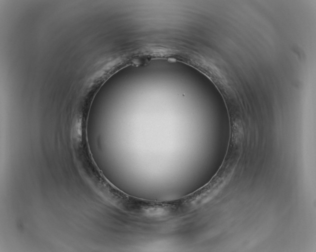 X0000110920358200906181413