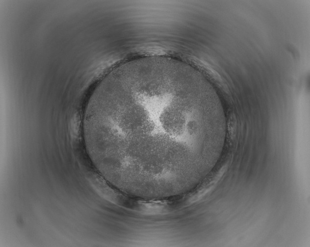 X0000110920359200906181413