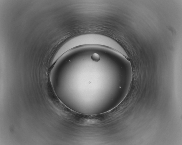 X0000110920360200906181413