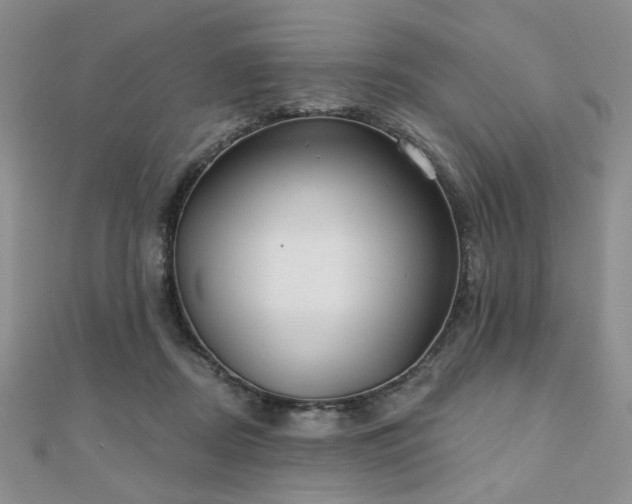 X0000110920362200906181413