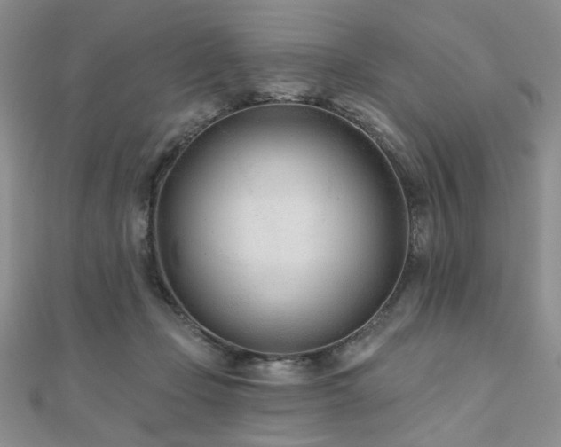 X0000110920365200906181413