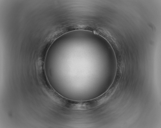 X0000110920366200906181413