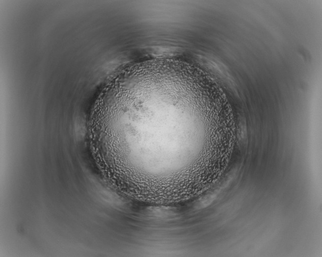 X0000110920367200906181413
