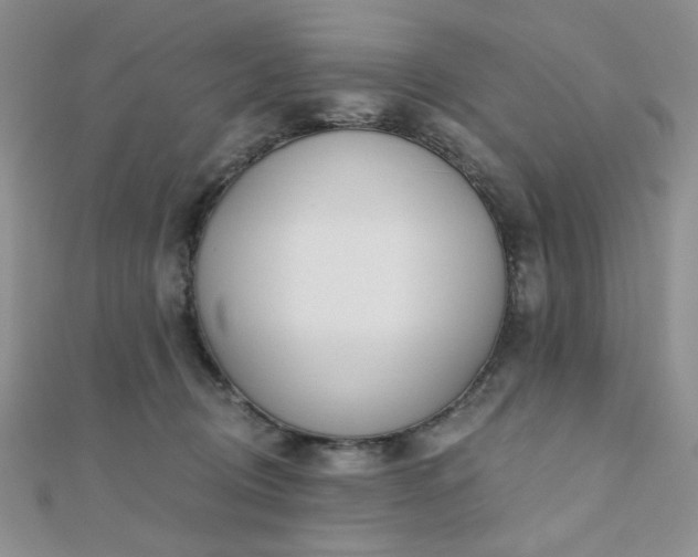 X0000110920370200906181413