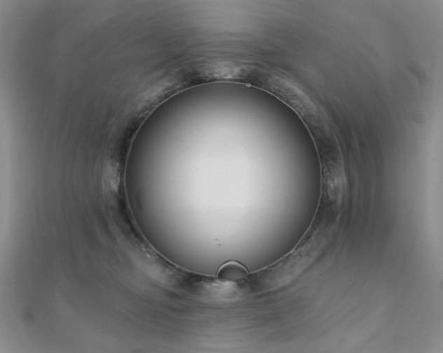 X0000110920374200906181414