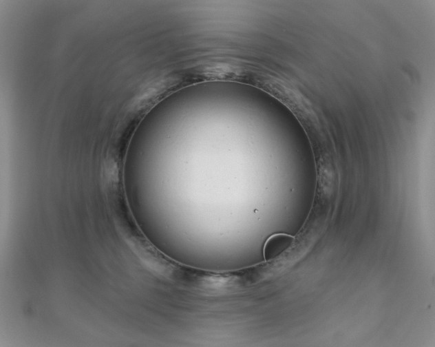 X0000110920375200906181414