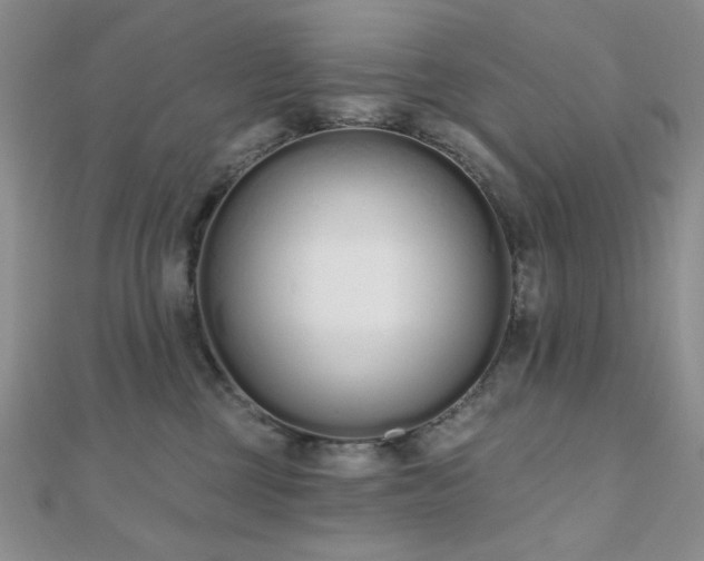 X0000110920377200906181414