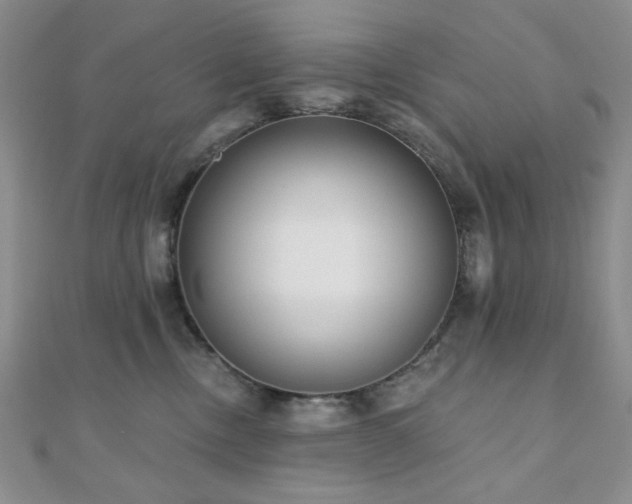 X0000110920378200906181414