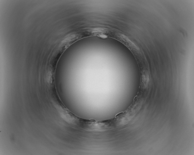 X0000110920379200906181414
