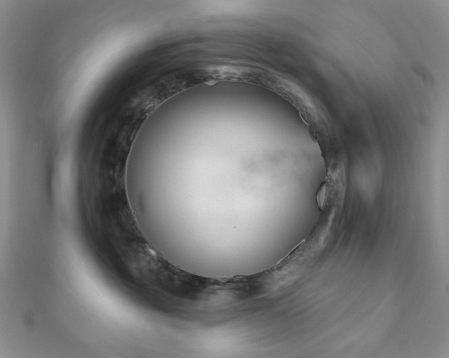 X0000110920381200906181414