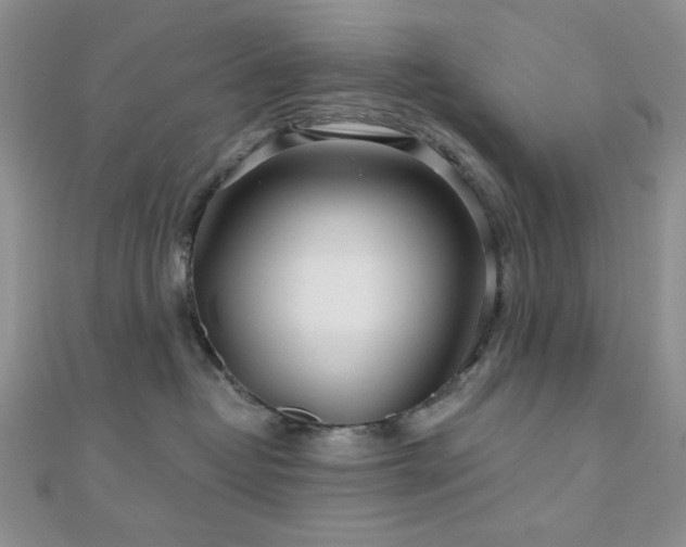 X0000110920382200906181414