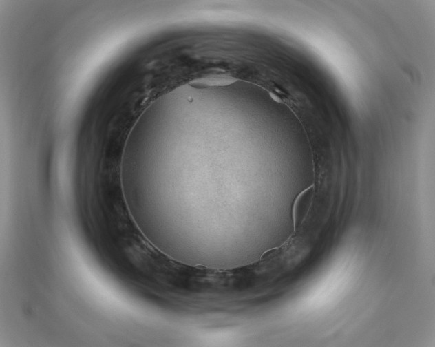 X0000110920383200906181414