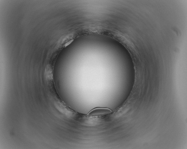 X0000110920384200906181414